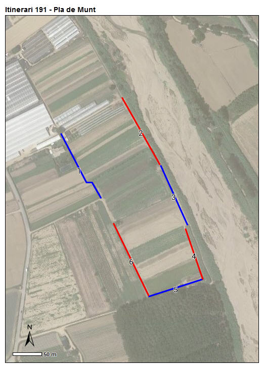 Gràfic no disponible