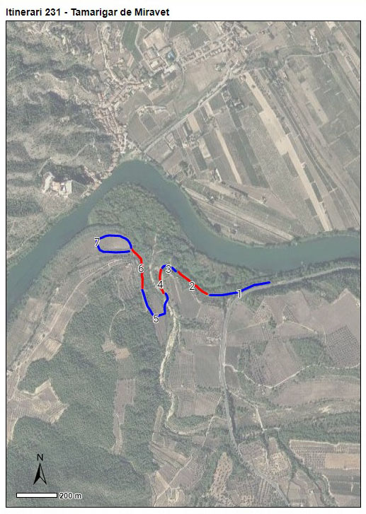 Gràfic no disponible