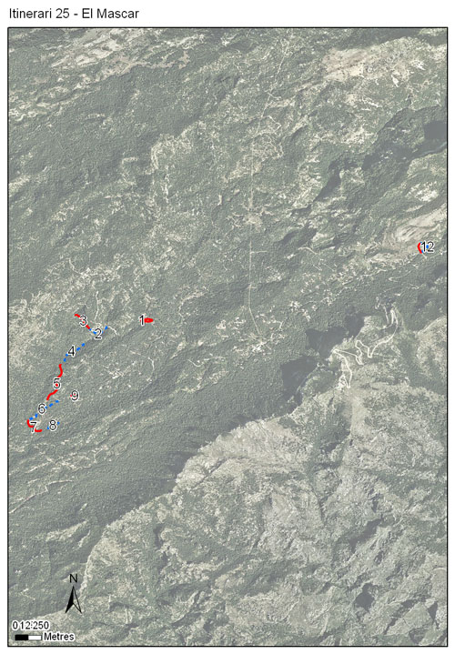 Gràfic no disponible