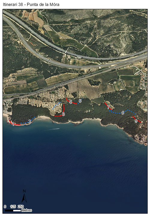 Gràfic no disponible