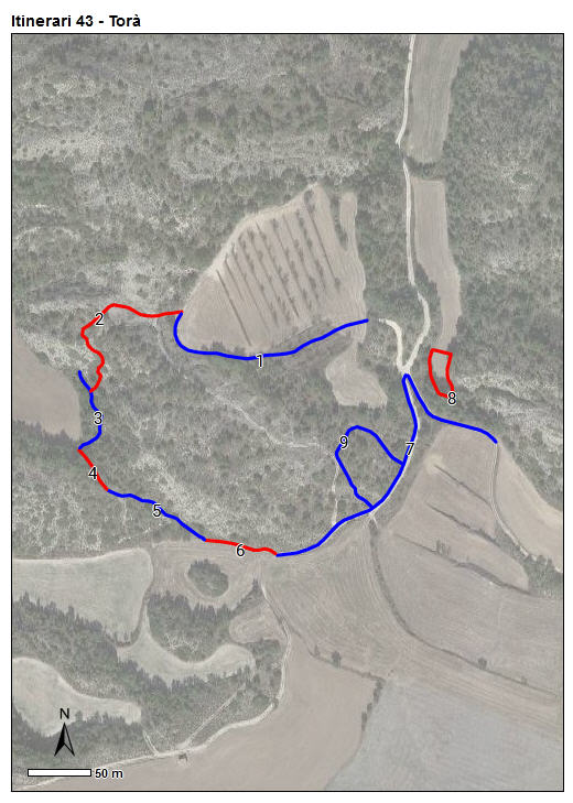 Gràfic no disponible