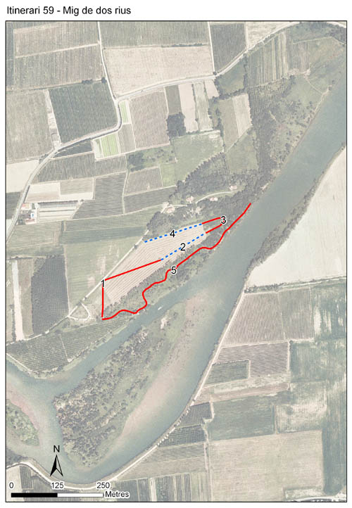 Gràfic no disponible