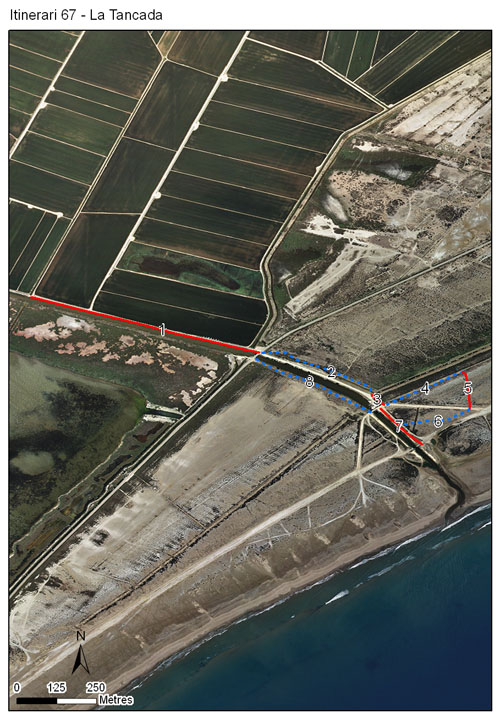 Gràfic no disponible