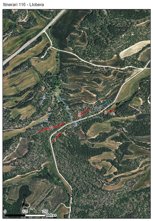 Gràfic no disponible