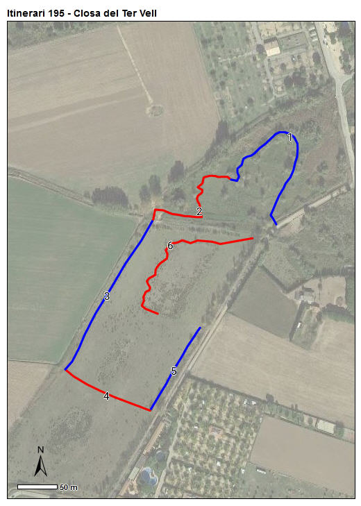 Gràfic no disponible